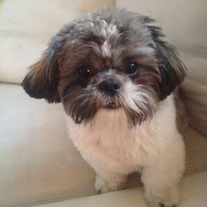 Meet your Posher, Lisa